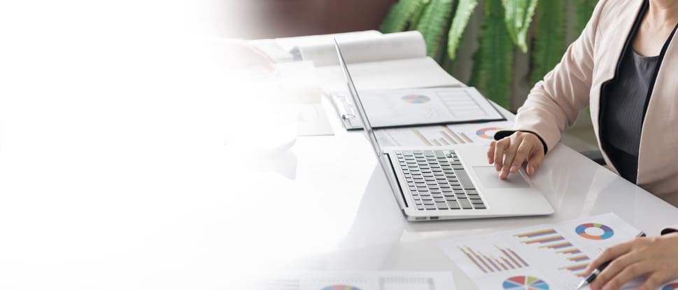 quick business set-up